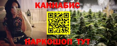 индика Ирбит