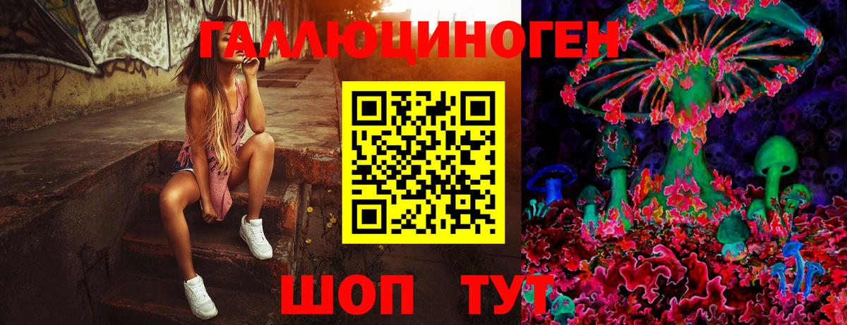 Магадан  Псилоцибиновые грибы MAGIC MUSHROOMS  Вход с VPN 